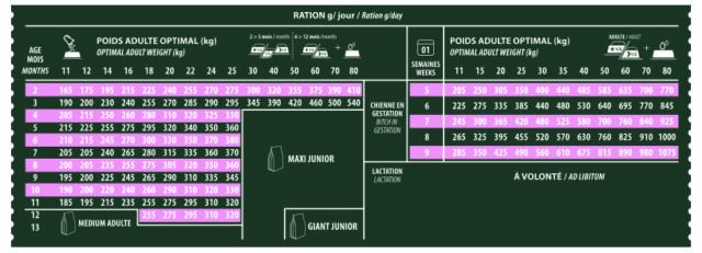 RATION MEDIUM JUNIOR (1)